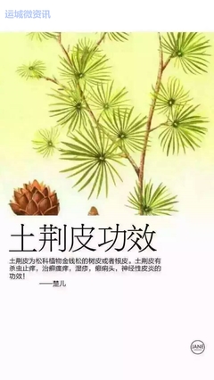 【女神泡泡 纯中药成分】女神泡泡由多种天然精粹科学 运城微资讯贴吧!免费发布信息!为运城人民而生!_微赞